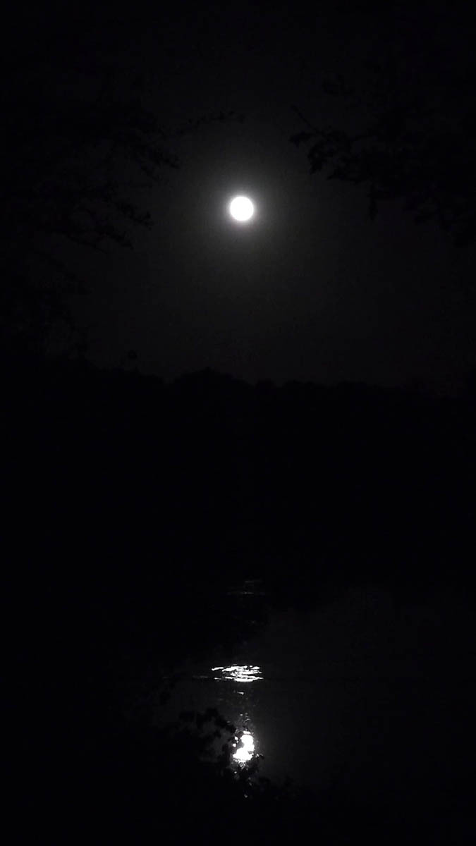 Visions de nuit
